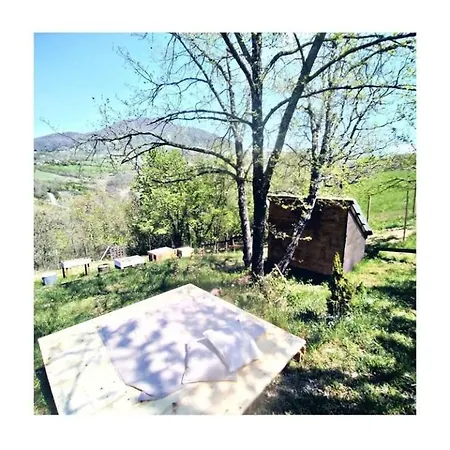 Borgoguerzano77 Luxury tent *